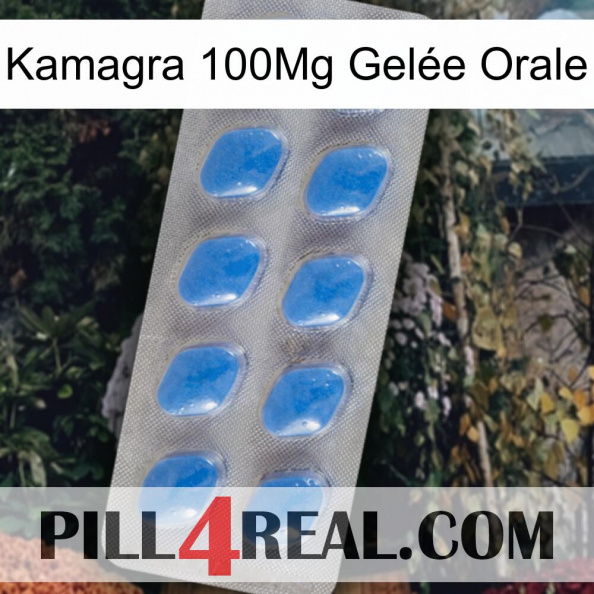 Kamagra 100Mg Gelée Orale 22
